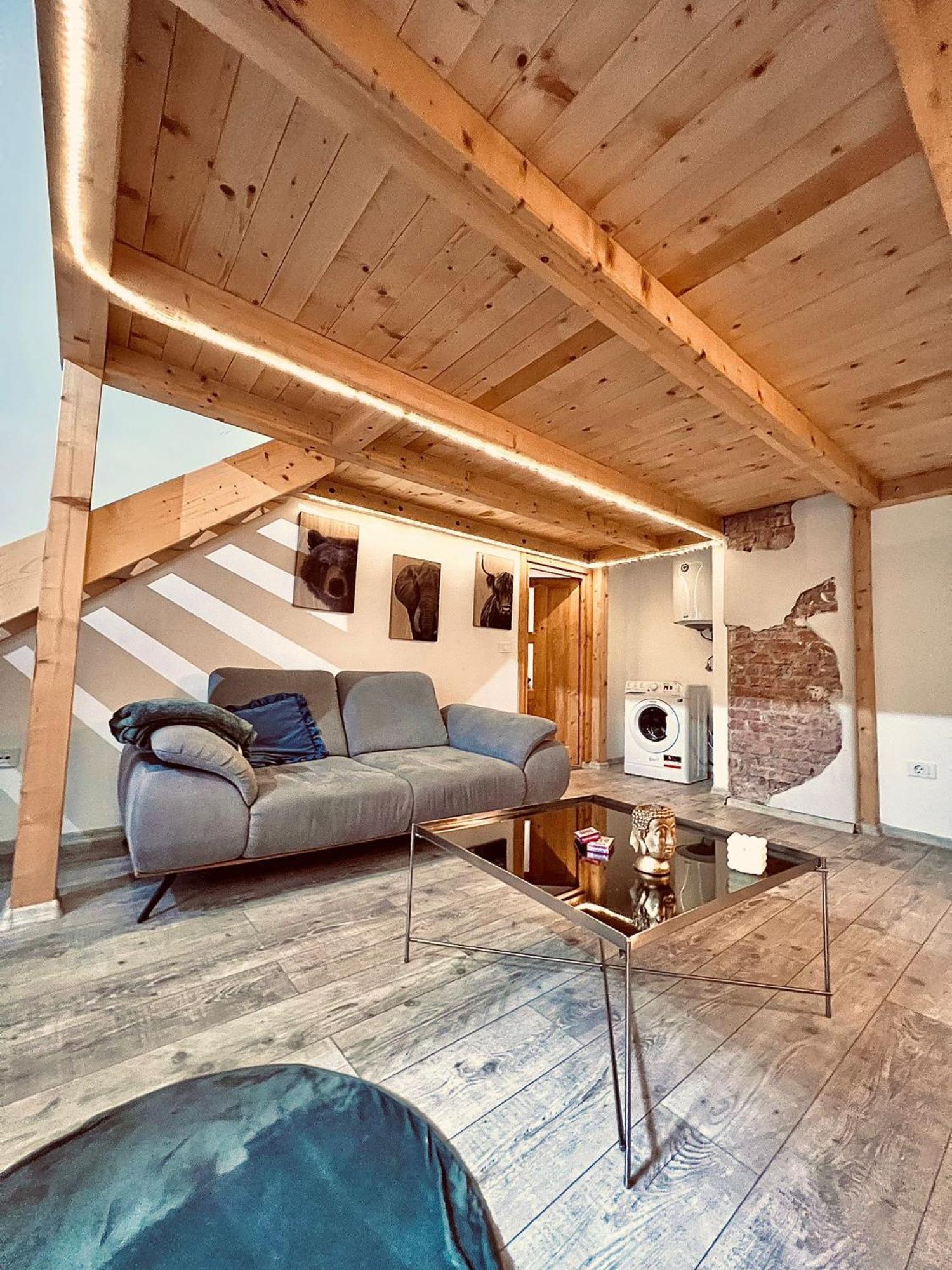 Central Cluj Apartament المظهر الخارجي الصورة