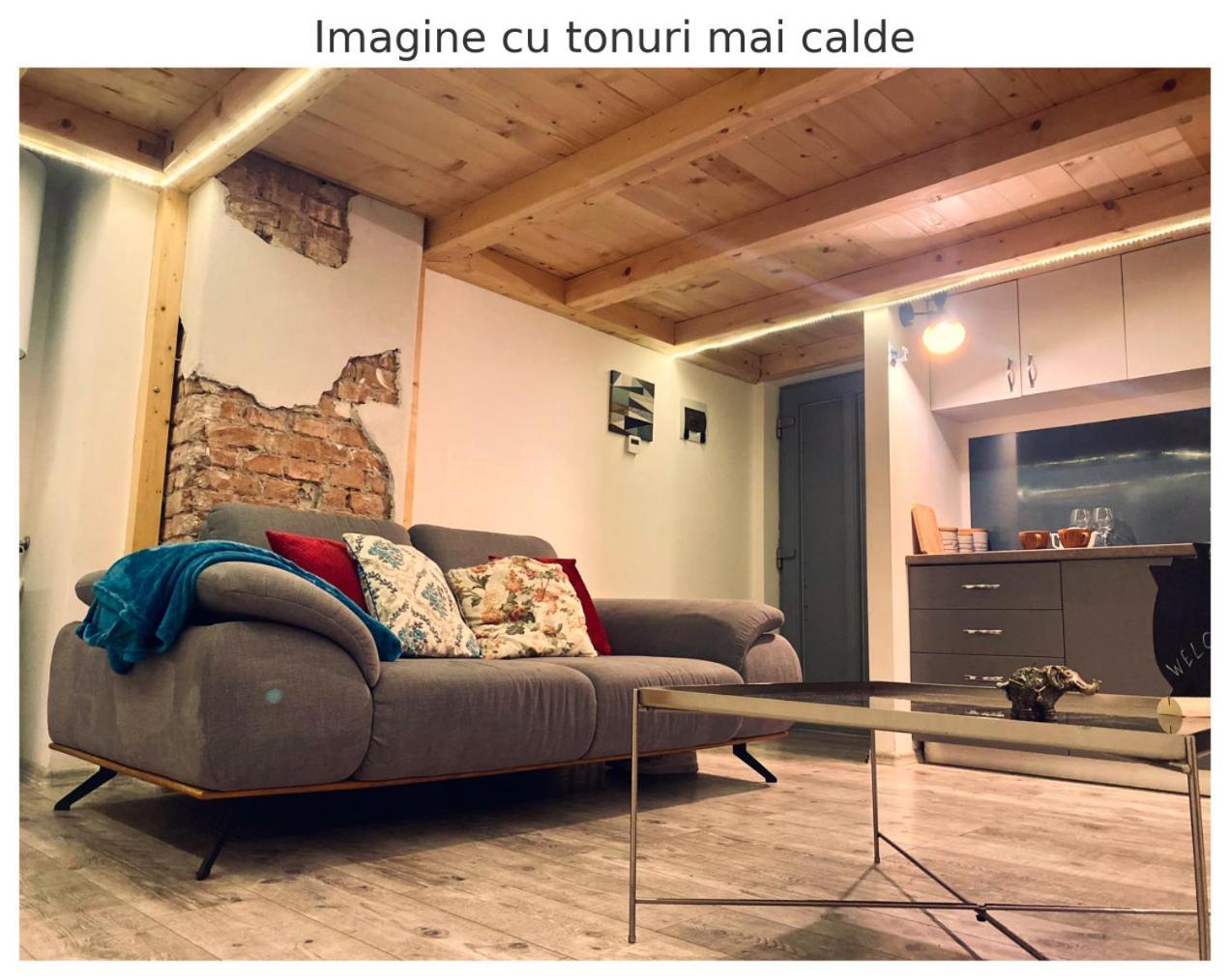 Central Cluj Apartament المظهر الخارجي الصورة